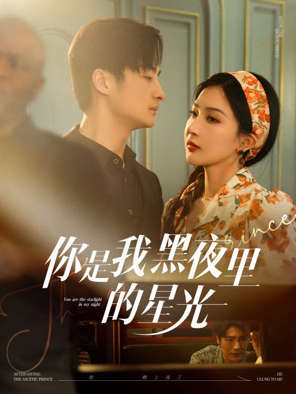 你是我黑夜里的星光  导演:赵江雪  短剧全集免费分享下载网盘资源夸克百度每日更新-搜影视网